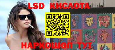 стафф Аргун