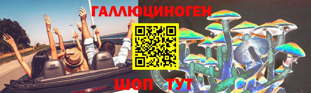 Ачхой-Мартан  Галлюциногенные грибы MAGIC MUSHROOMS  Вход с VPN  Галлюциногенные грибы Magic Shrooms 