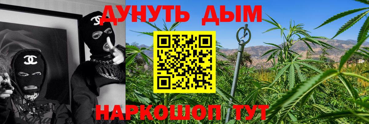 Ачхой-Мартан  Конопля гибрид  Марихуана OG Kush  Вход с VPN 